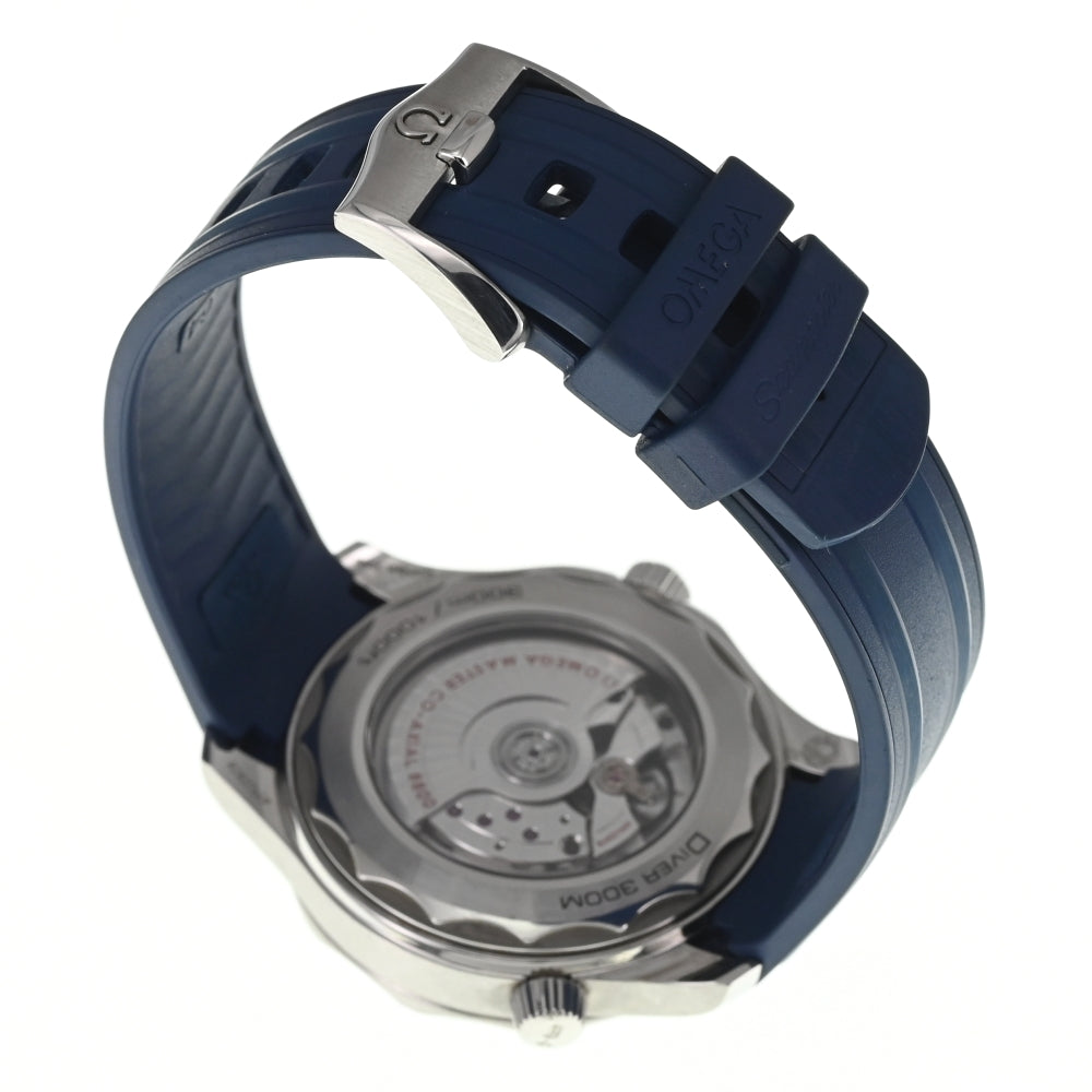 with paper OMEGA Seamaster 300M CO-AXIAL 210.32.42.20.06.001 gray Dial Automatic Men's
 Watch N#137574