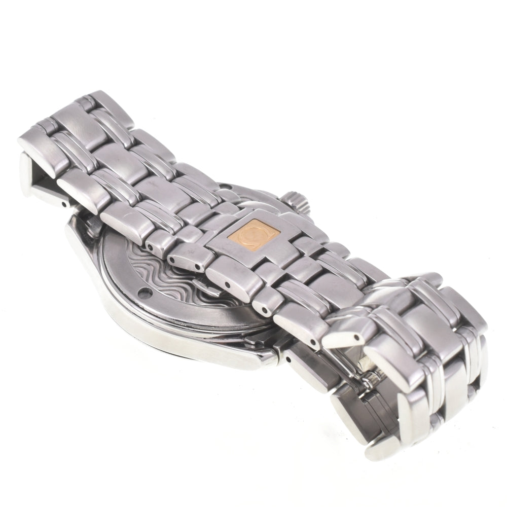 OMEGA Seamaster 120M 2511.31 Date Silver Dial Quartz Men's
 Watch K#142742