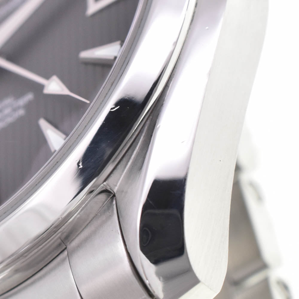 OMEGA Seamaster Aqua Terra 231.10.42.21.06.001 gray Dial Automatic Men's
 Watch L#142880