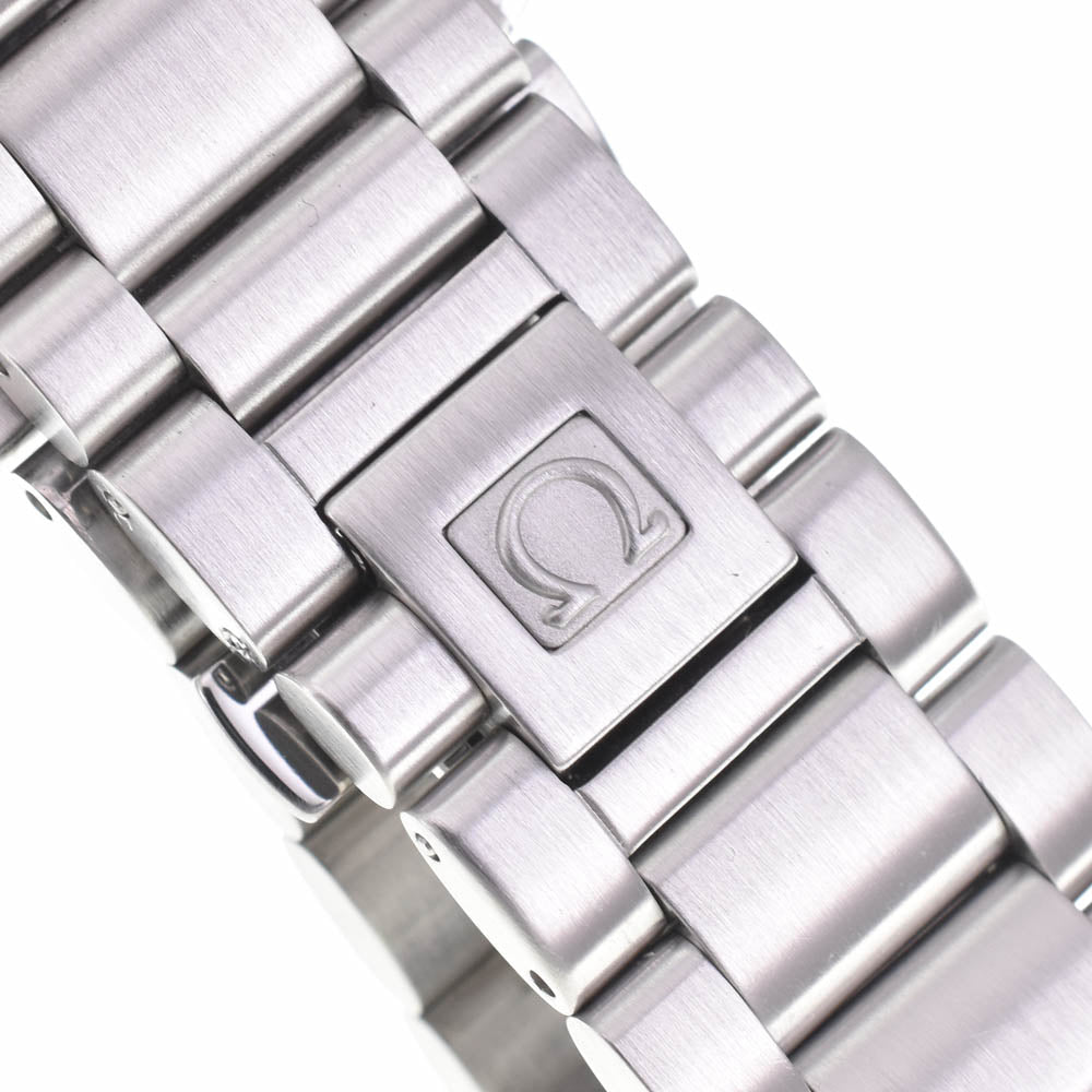 OMEGA Seamaster Aqua Terra 2502.33 Date chronometer Silver Dial Automatic Men's
 Watch L#142904