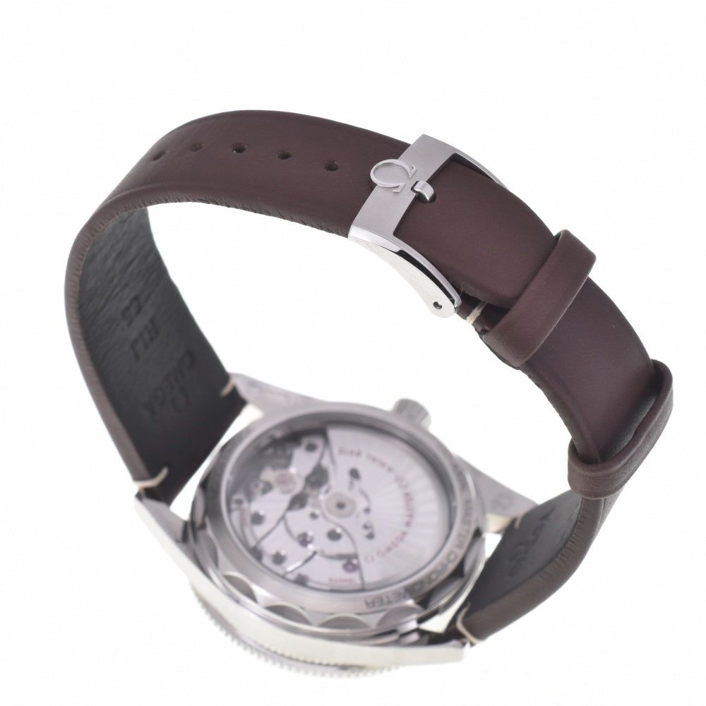 with paper OMEGA Seamaster 300 Co-Axial Master Chronometer 234.32.41.21.01.001 black Dial Automatic Men's
 Watch M#143121