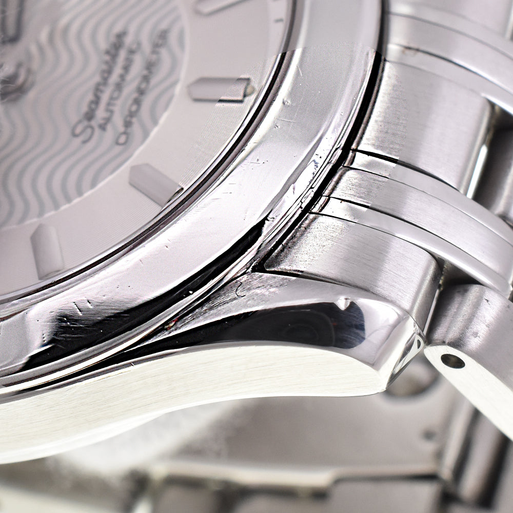 OMEGA Seamaster 120M 2501.31 Date Silver Dial Automatic Men's
 Watch C#144404