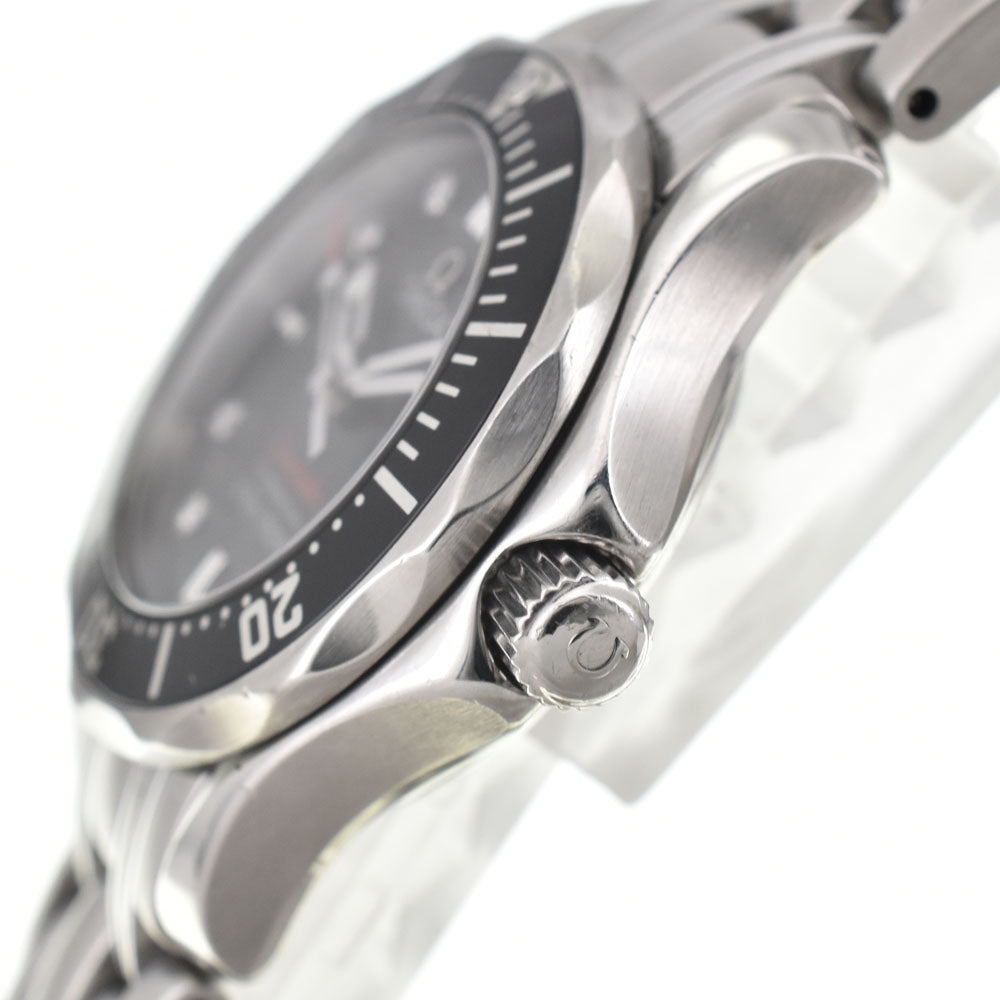 OMEGA Seamaster 212.30.28.61.51.001 Professional 300m 8P Diamond black Dial Quartz Ladies
 Watch D#144743