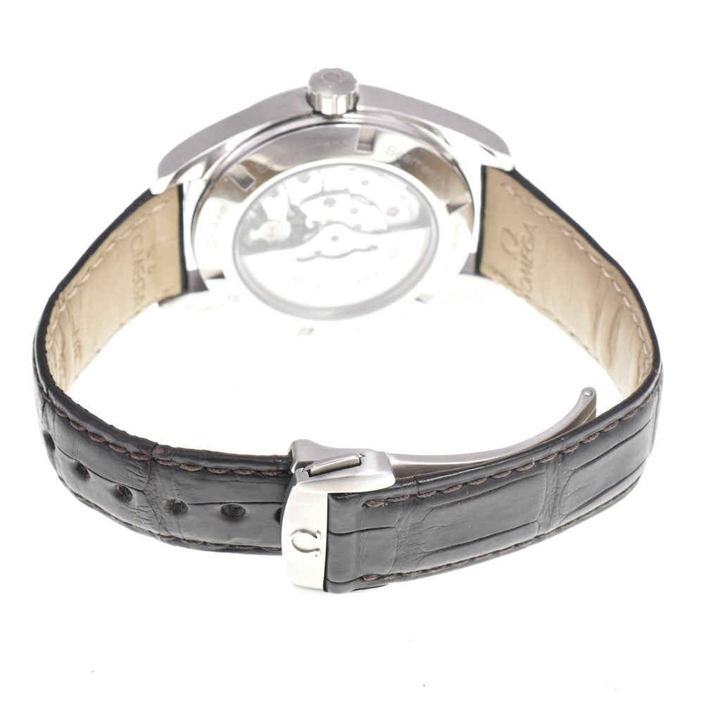 with paper OMEGA Seamaster Aqua Terra 231.13.43.22.02.004 Co-Axial GMT Silver Dial Automatic Men's
 Watch G#147403