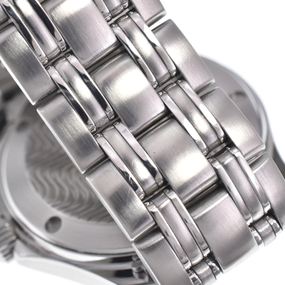 OMEGA Seamaster120 2511.31 Date Silver Dial Quartz Men's
 Watch Q#149060