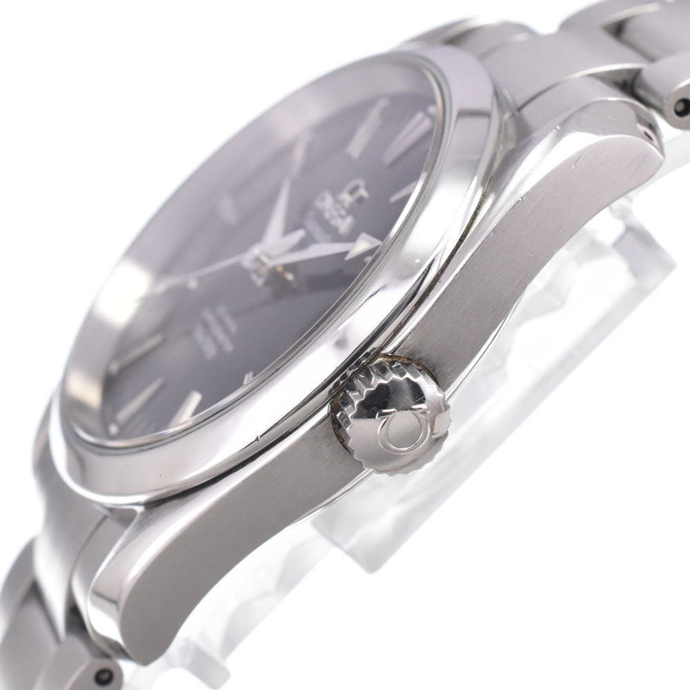 OMEGA Seamaster Aqua Terra Date 2504.50 CO-AXIAL Chronometer black Dial Automatic Men's
 Watch M#150874