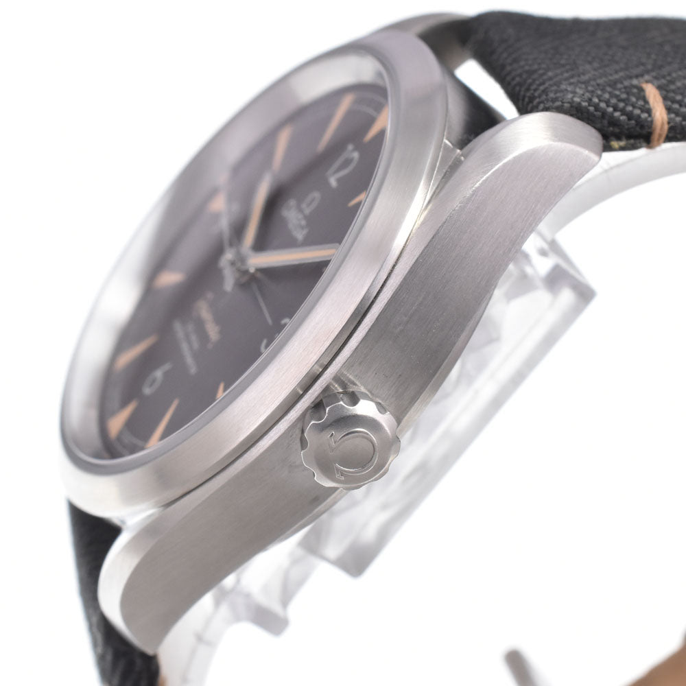 with paper OMEGA Seamaster Railmaster 231.10.42.21.06.001 CO-AXIAL black Dial Automatic Men's
 Watch L#151018
