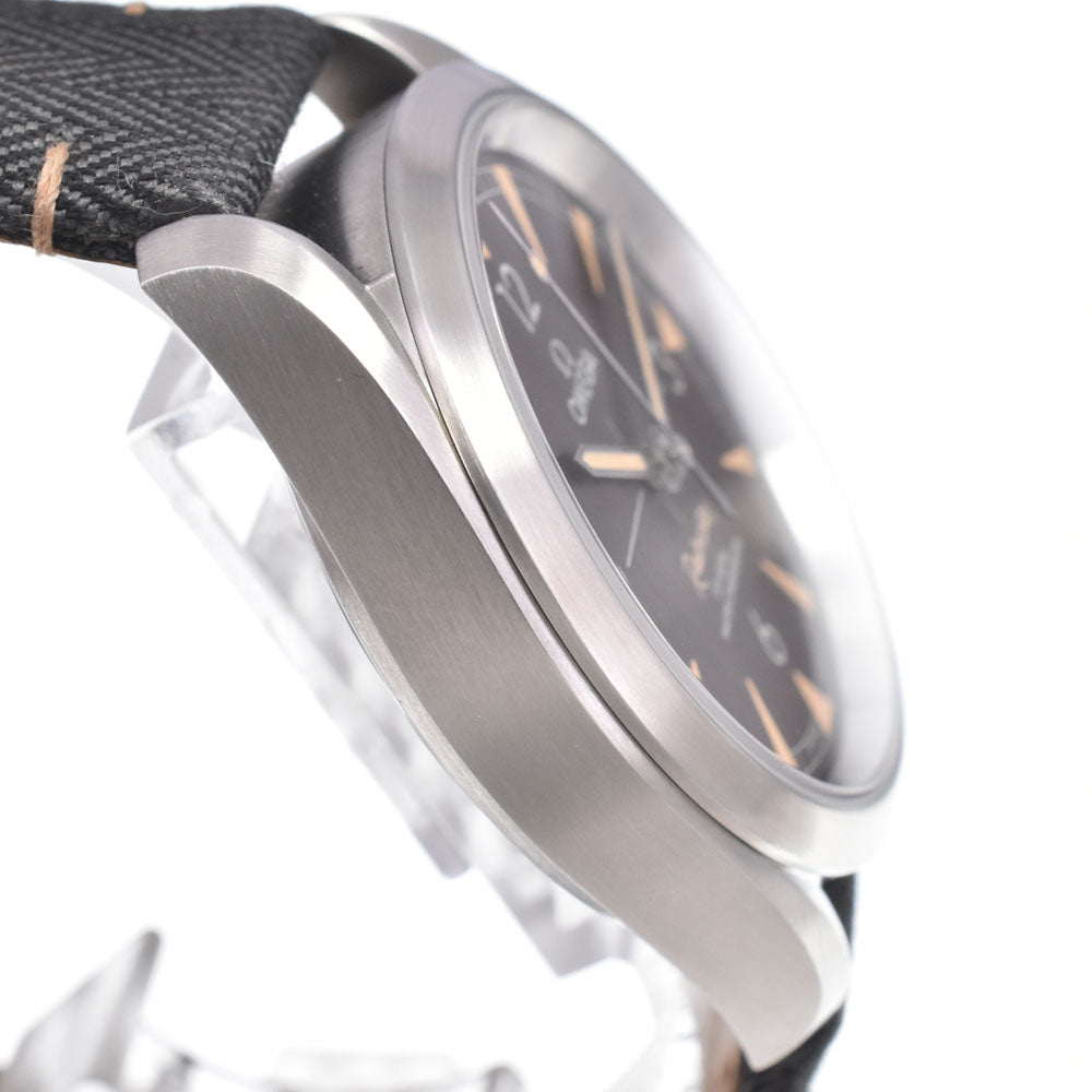 with paper OMEGA Seamaster Railmaster 231.10.42.21.06.001 CO-AXIAL black Dial Automatic Men's
 Watch L#151018