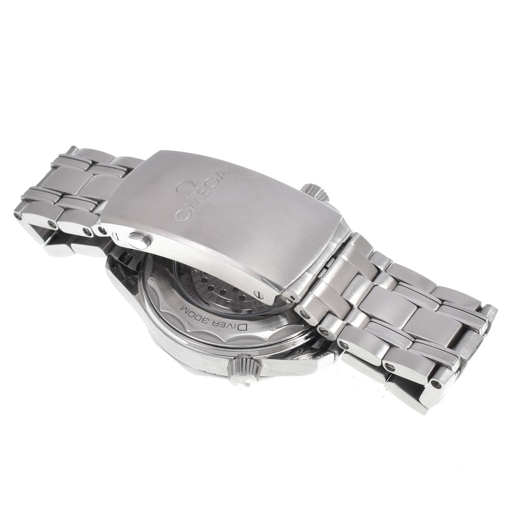 with paper OMEGA Seamaster 300M CO-AXIAL 210.32.42.20.06.001 gray Dial Automatic Men's
 Watch M#151300